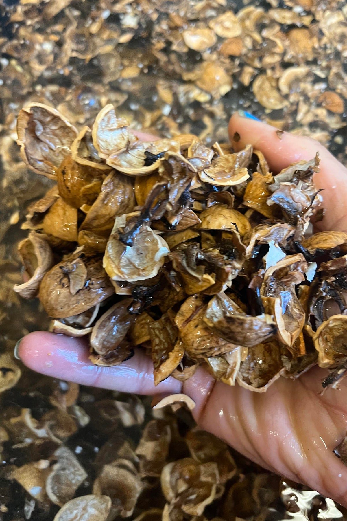 RONA - walnut dye