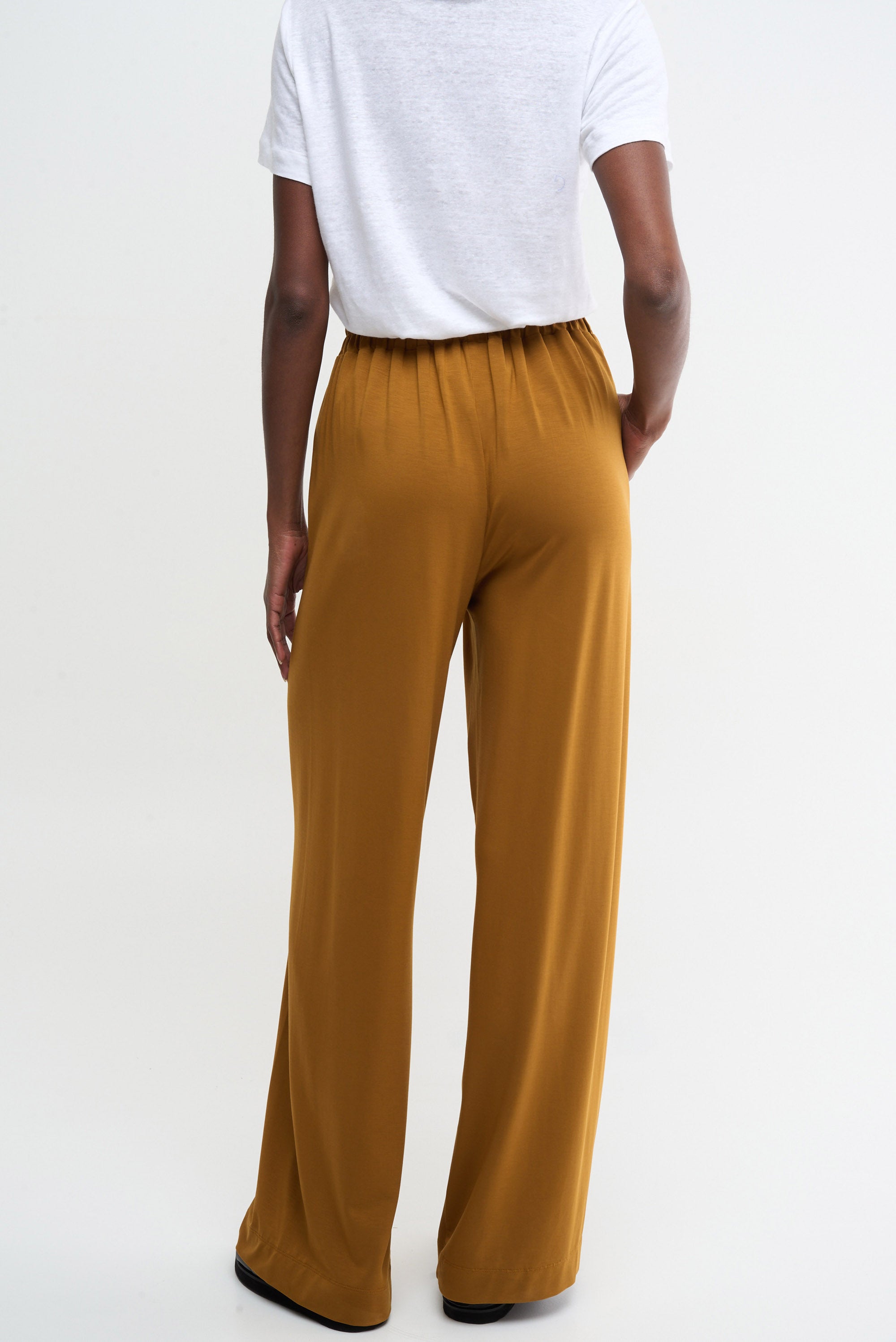 WASP - golden ochre