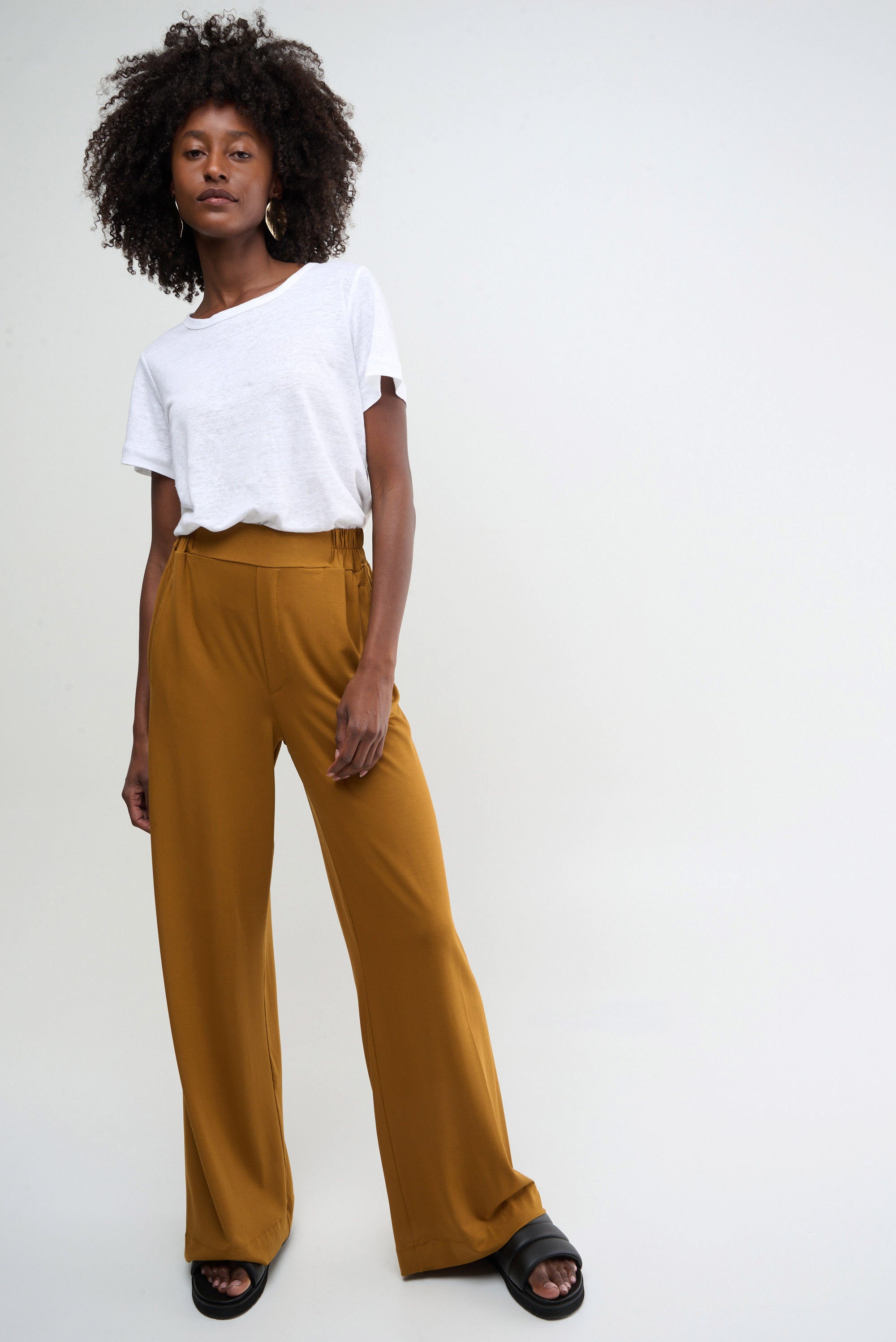 WASP - golden ochre